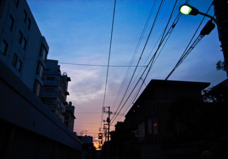 夜のお散歩が楽しくなってきた